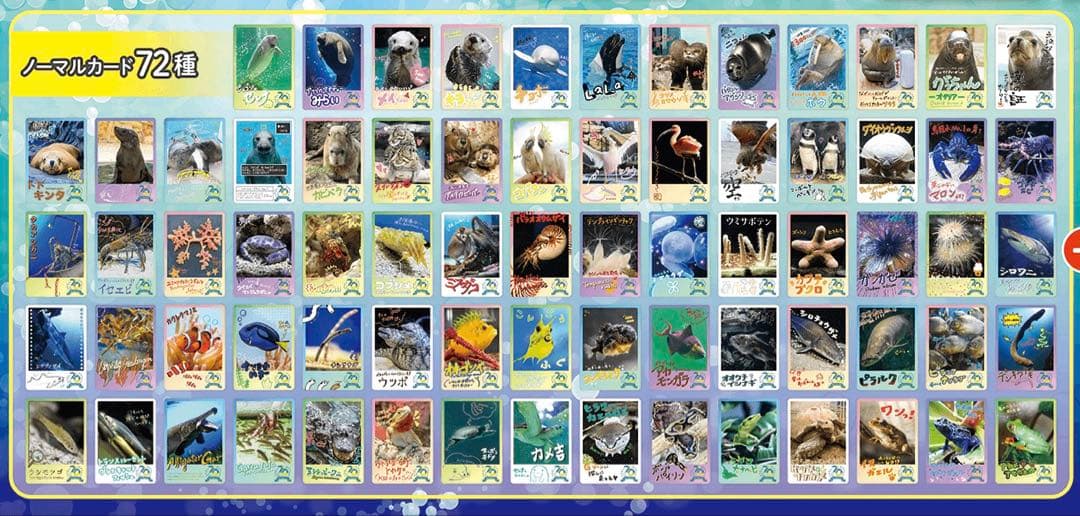 コンプセット】鳥羽水族館 TOBA AQUARIUMコレクションカード 72枚