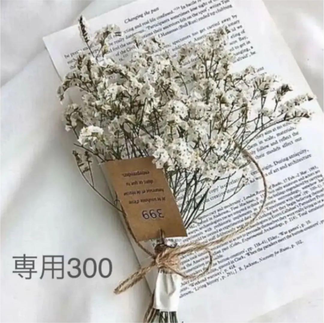 専用ページ　300