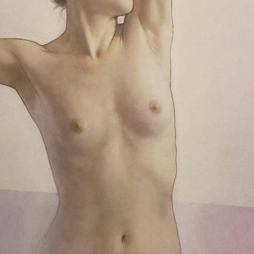 高塚省吾、【白南風】、希少な額装用画集画、新品高級額 額装付、状態良好