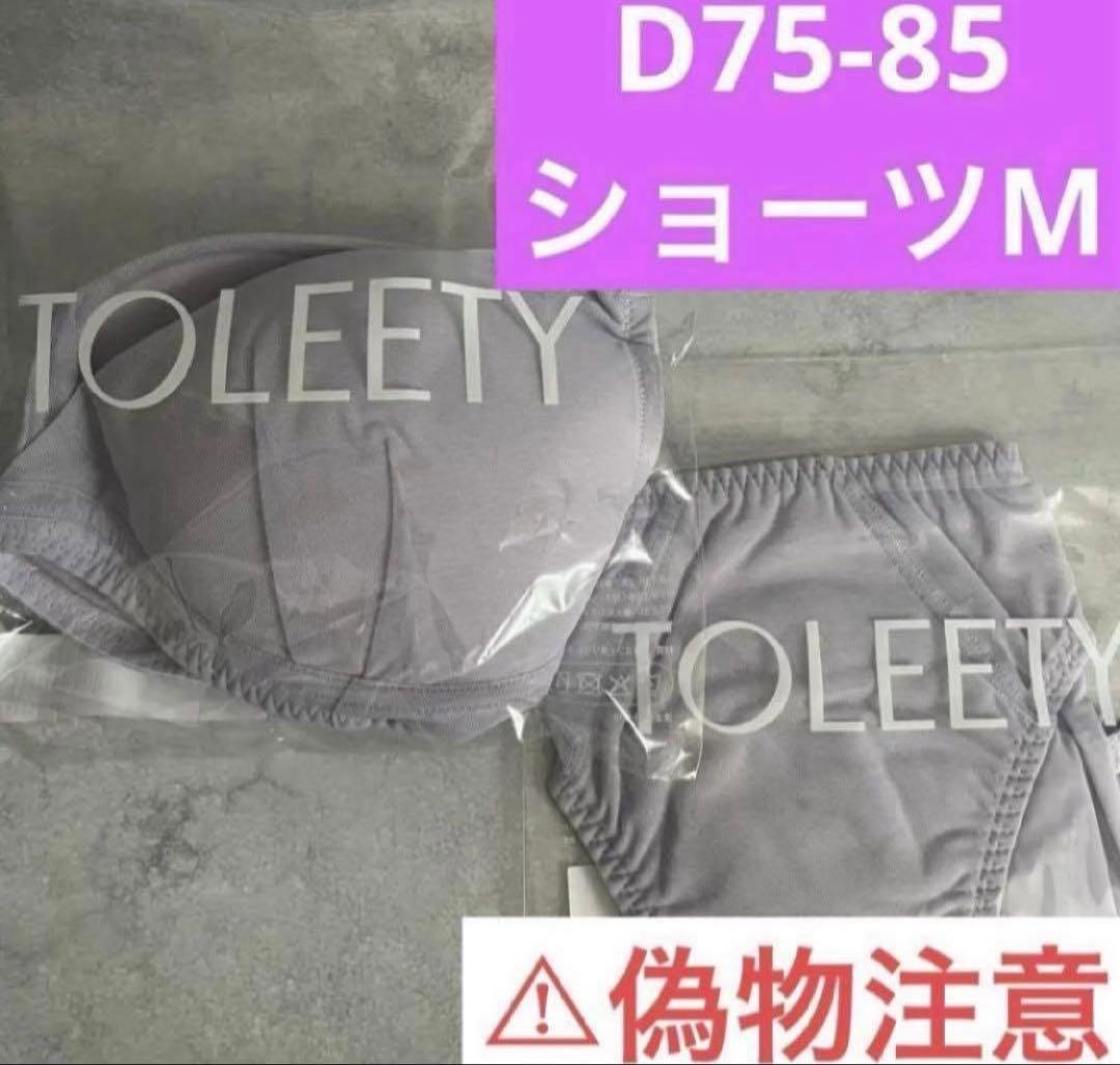 TOLEETY 軽やかストレスフリーブラ&ショーツ ⭐️パープル⭐️D75-85