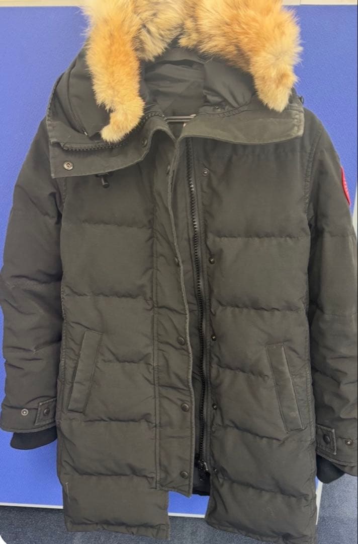 【週末限定価格】  マッケンジー　M