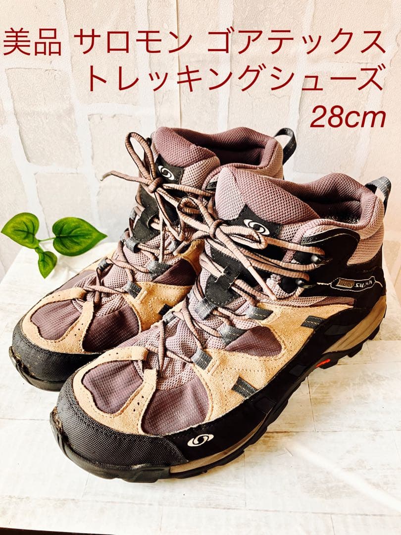 油彩画 富士山 足立辰己作