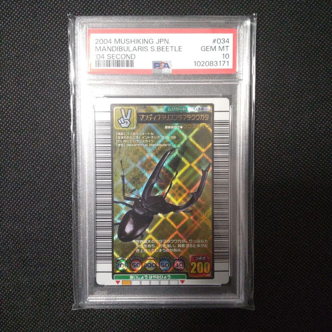 PSA10　マンディブラリスフタマタクワガタ　2004 セカンド