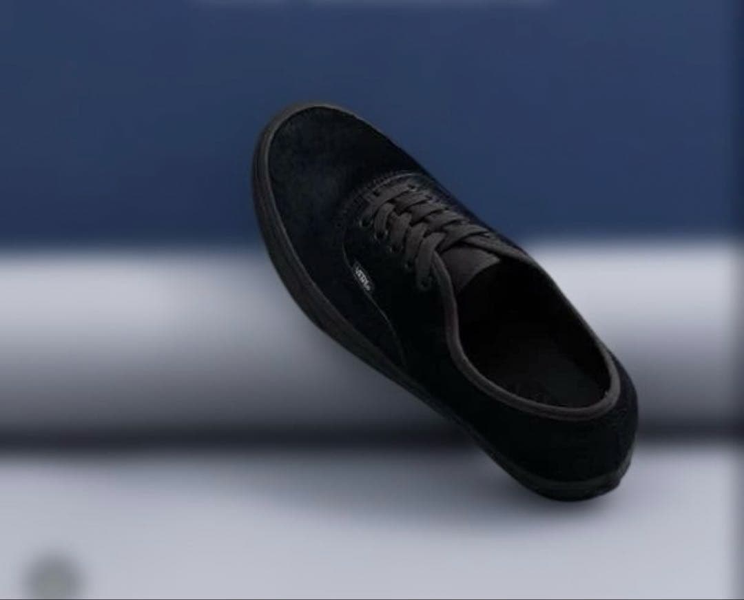 ロンハーマン 限定 Vans Authentic Pony Hair - メルカリ