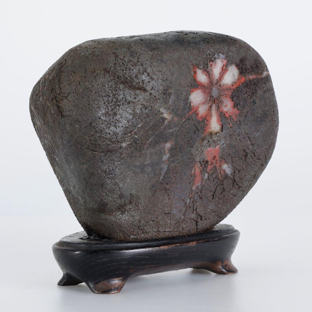 菊花石 菊紋石 1.1kg 台座・木箱付 鑑賞石 原石 水石 盆石 飾石 美石