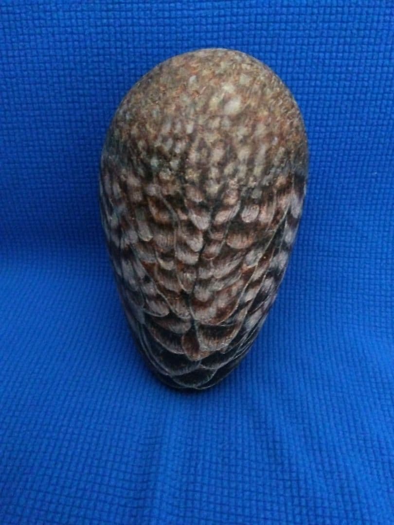 ストーンアート作品： 幸せを呼ぶフクロウ - メルカリ