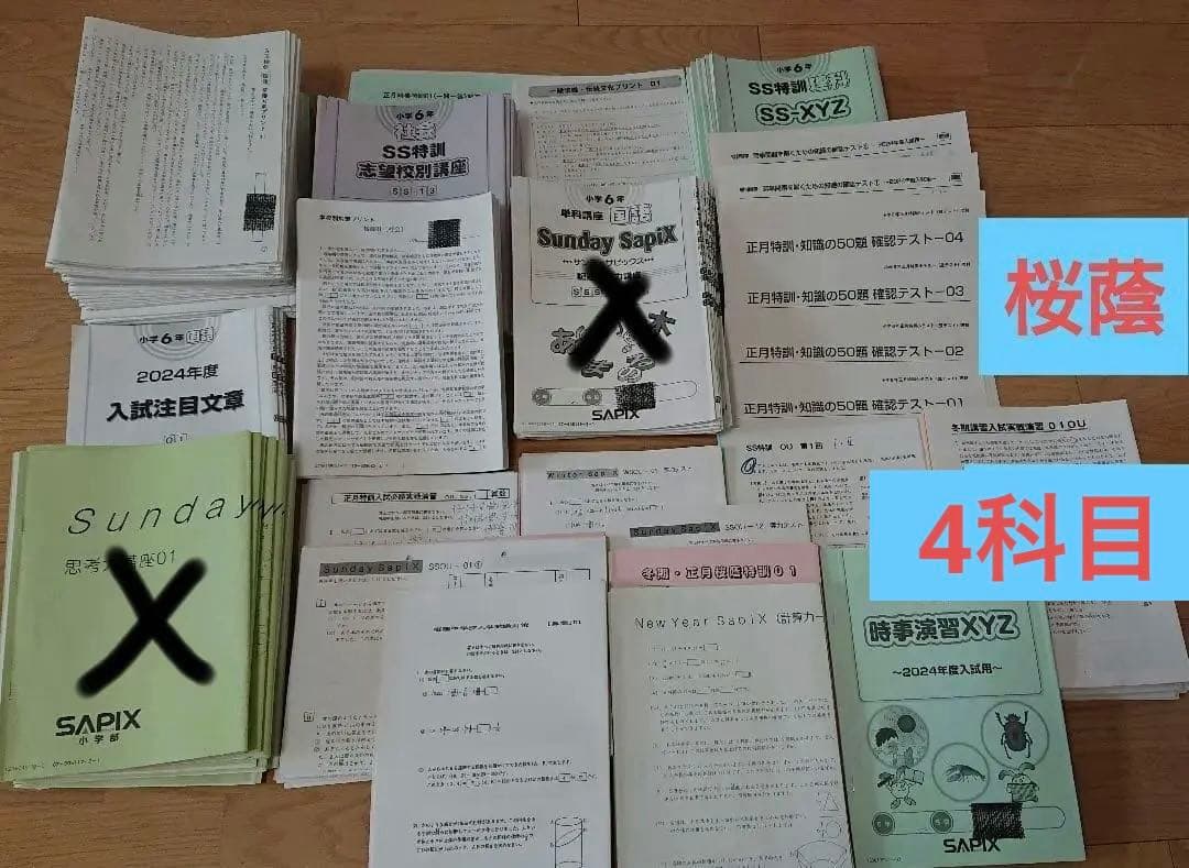 サピックス SS特訓 桜蔭