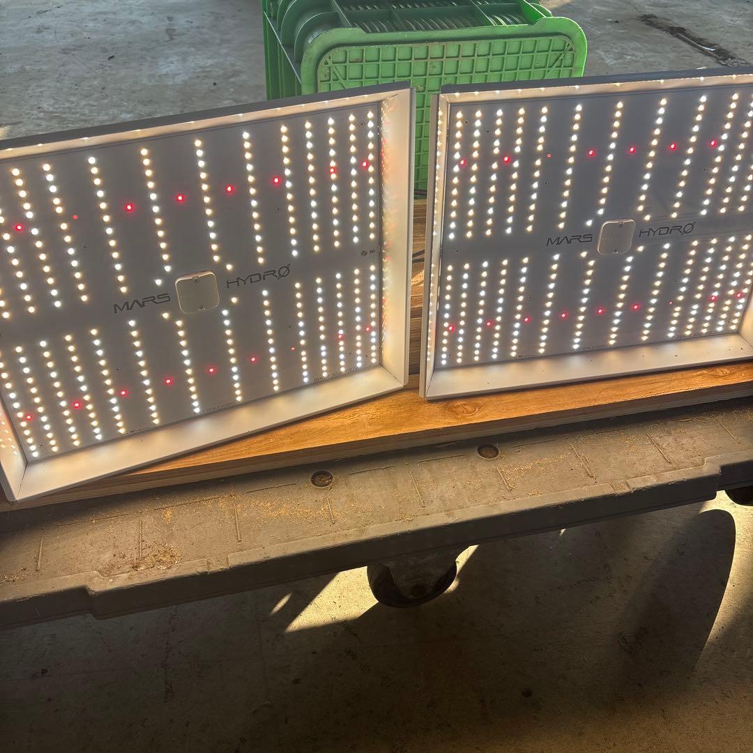 diver　TS-1000 2個