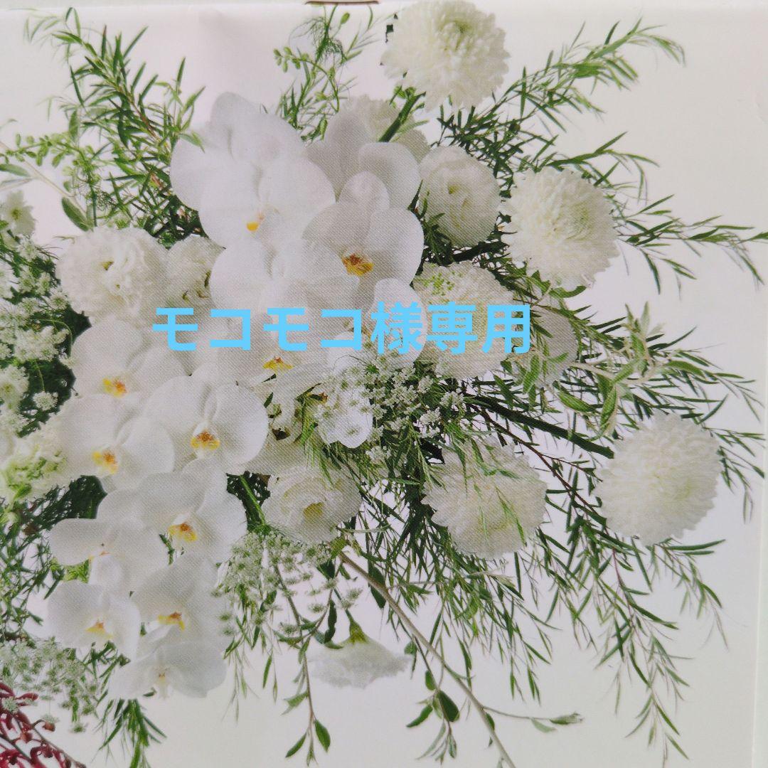 北の快適工房 ハックティックファンデーション ナチュラル☆2個セット☆ブラシ付き