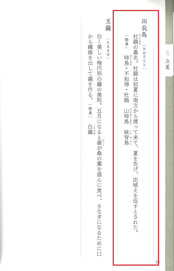 森寛斎自筆『月に杜鵑図』掛軸（極箱） - メルカリ