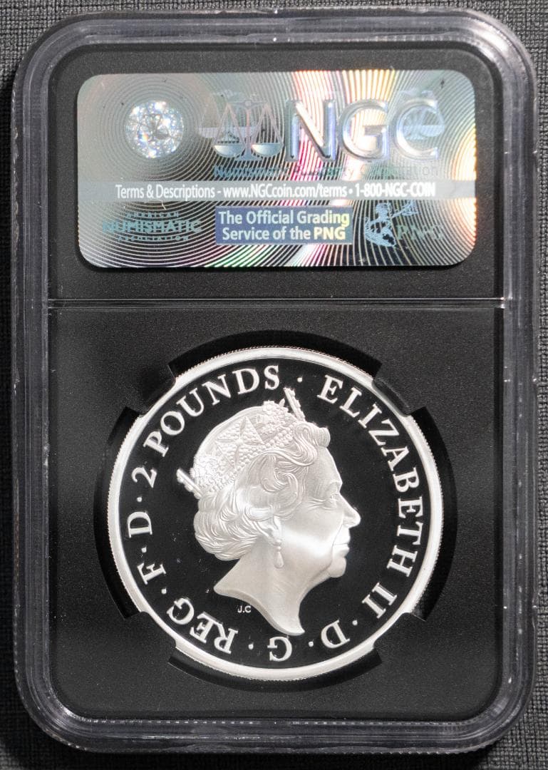 2017 クイーンズビースト ライオン NGC PF70UC 2ポンド 銀貨 - メルカリ