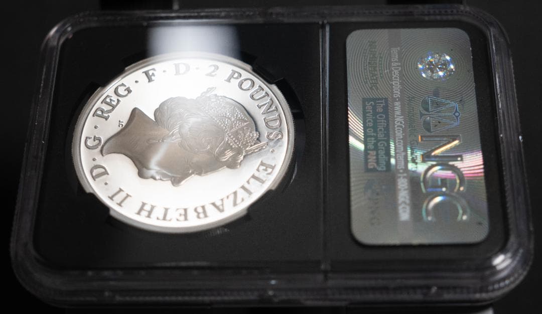 2017 クイーンズビースト ライオン NGC PF70UC 2ポンド 銀貨 - メルカリ