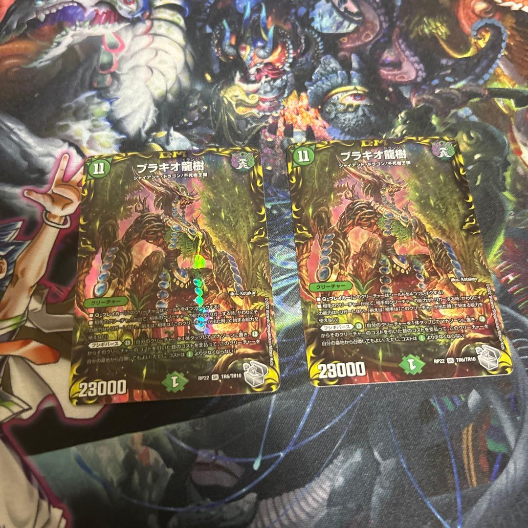 フラギオ龍樹 二枚