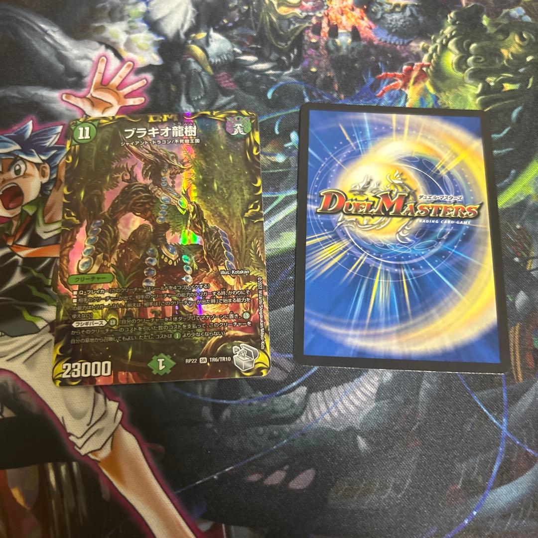 フラギオ龍樹 二枚