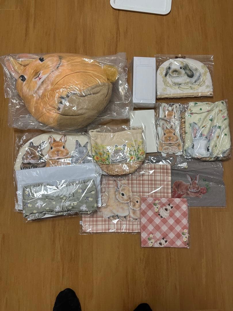 写真全部セット⭐︎ しらとあきこさんグッズ　15点＋1セット！