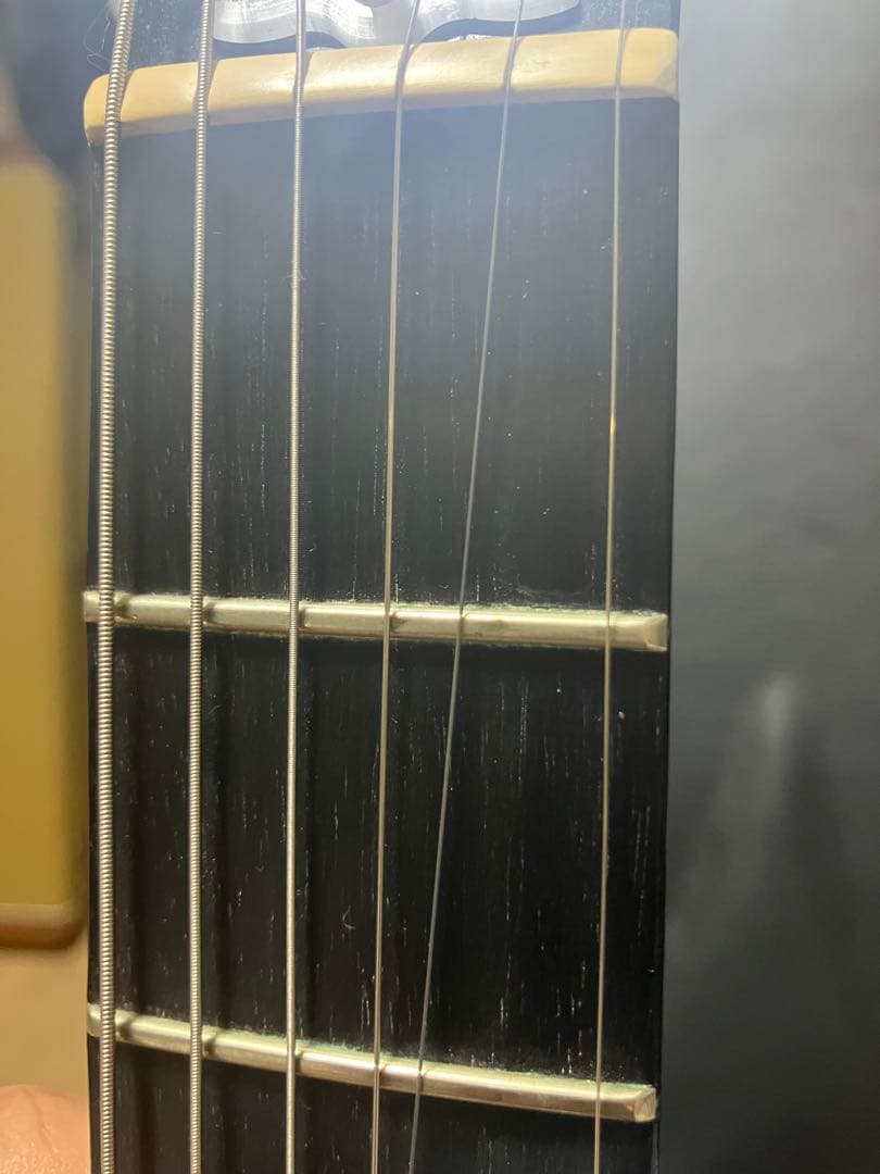 Gibson Les Paulニューセンチュリー ストラップ&純正ハードケース付