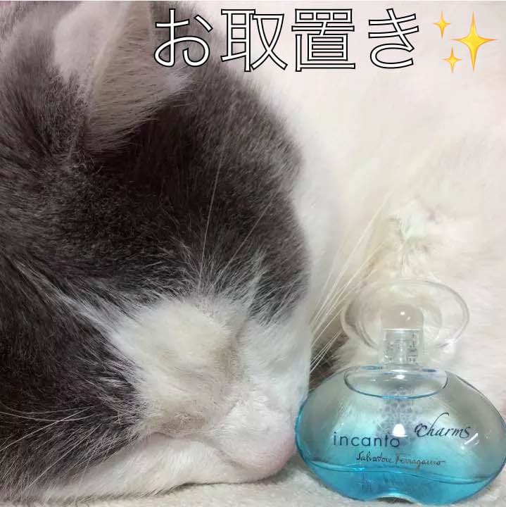 【お取り置き品】フェラガモ  インカント チャーム ５ml FERRAGAMO（フェラガモ） サルヴァトーレ インカント チャーム EDT