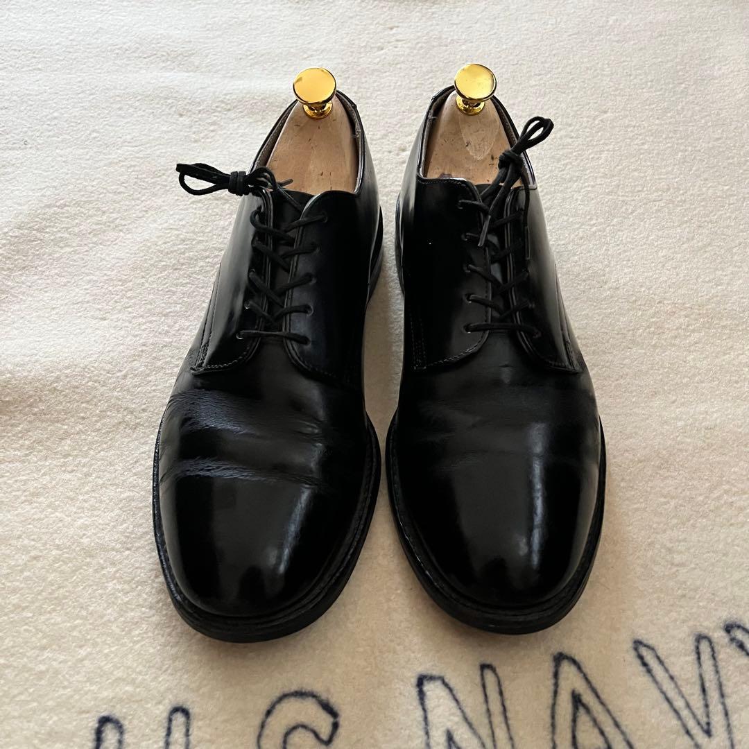 ノ*ク様 ボブルス 希少アリクイ