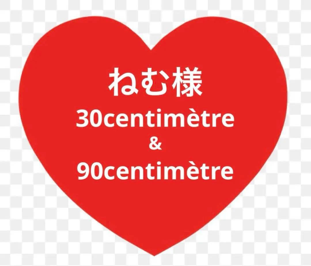 ねむページ NemoIDE for ZX Spectrum - Share Project - PCBWay