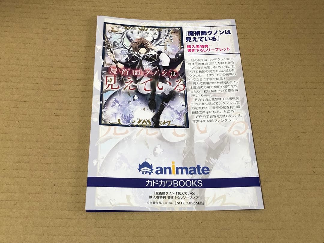 魔術師クノンは見えている　1巻　SS入りリーフレット　アニメイト 魔術師クノンは見えている』声優に早見沙織・内田真礼｜ティザー