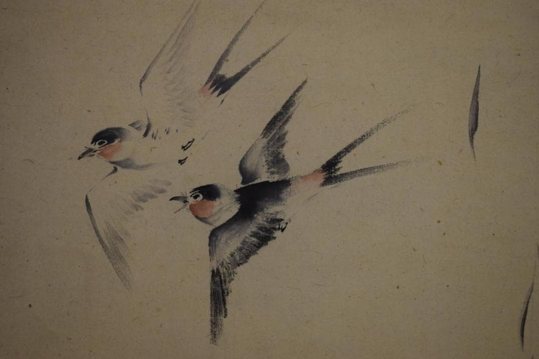 真作/大原呑舟/双燕図/ツバメ図/布袋屋掛軸HH-569