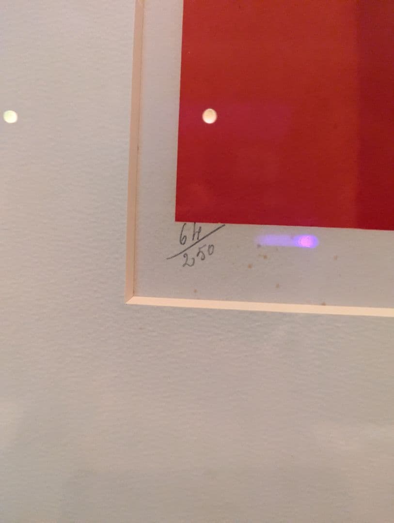 ジャヌス・ド・ローラ Ida Dady 女性の肖像画 赤と黒