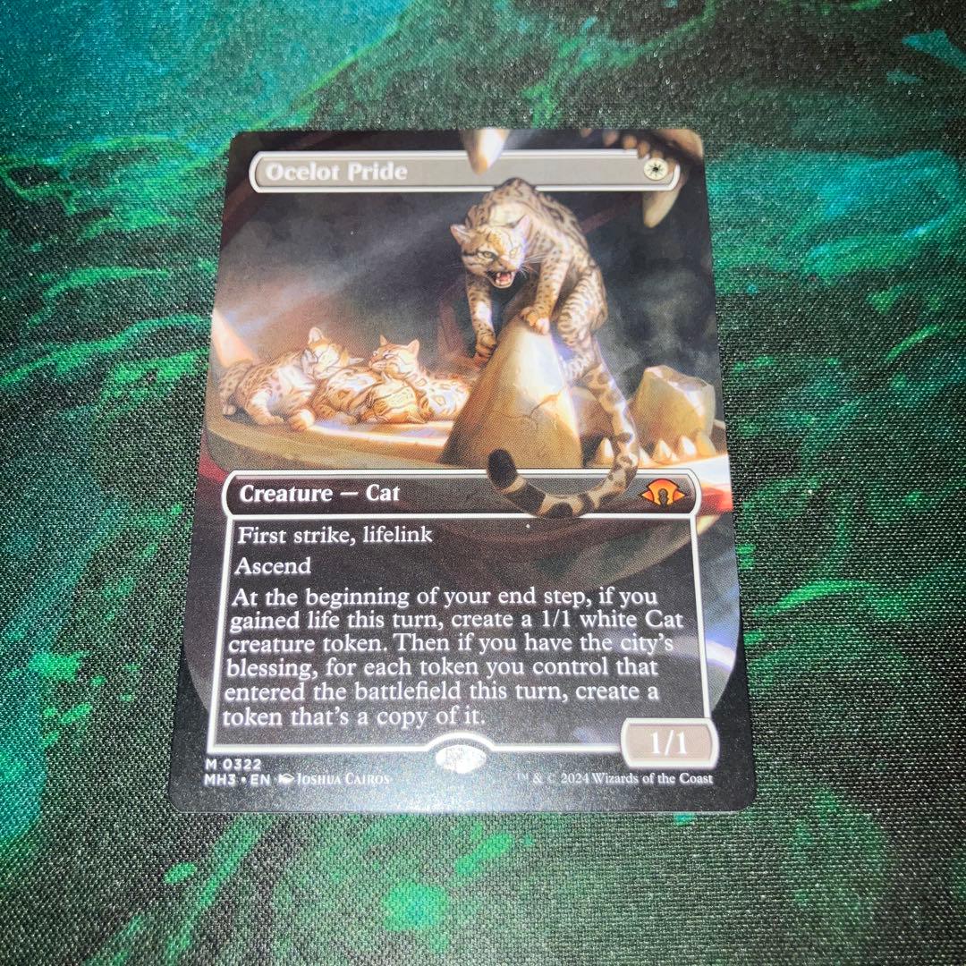 オセロットの群れ