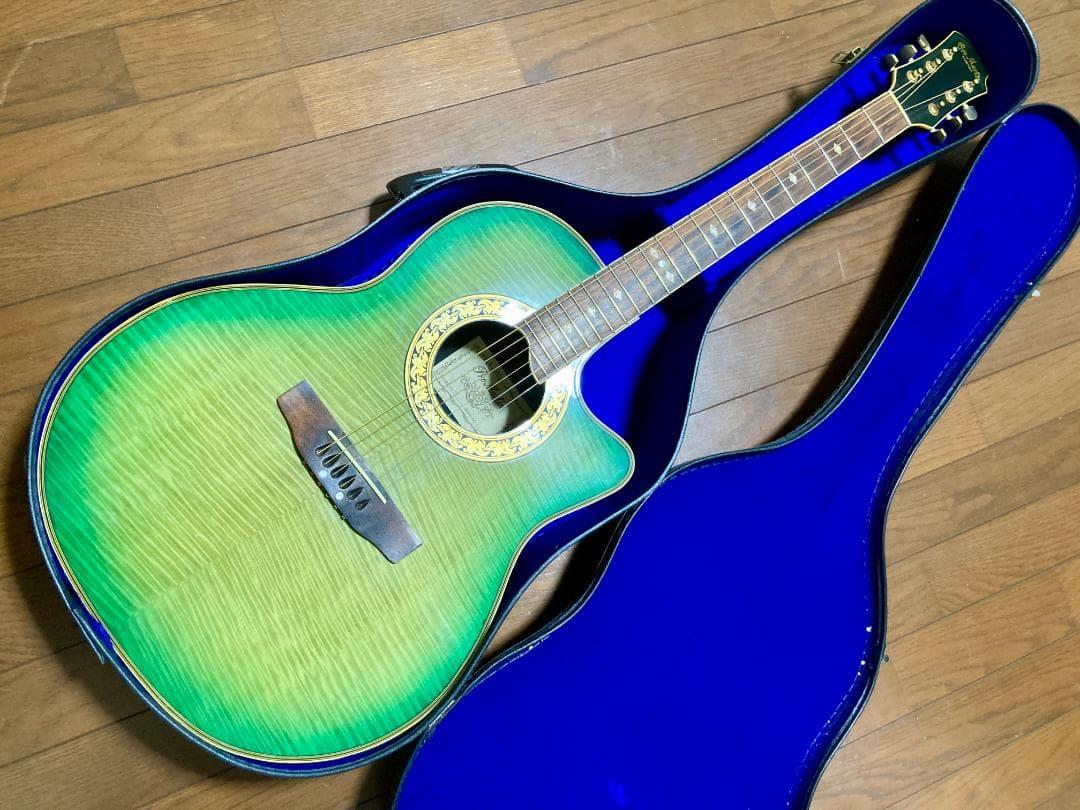 Pro Martin CUSTOM エレアコ EA 450　虎杢