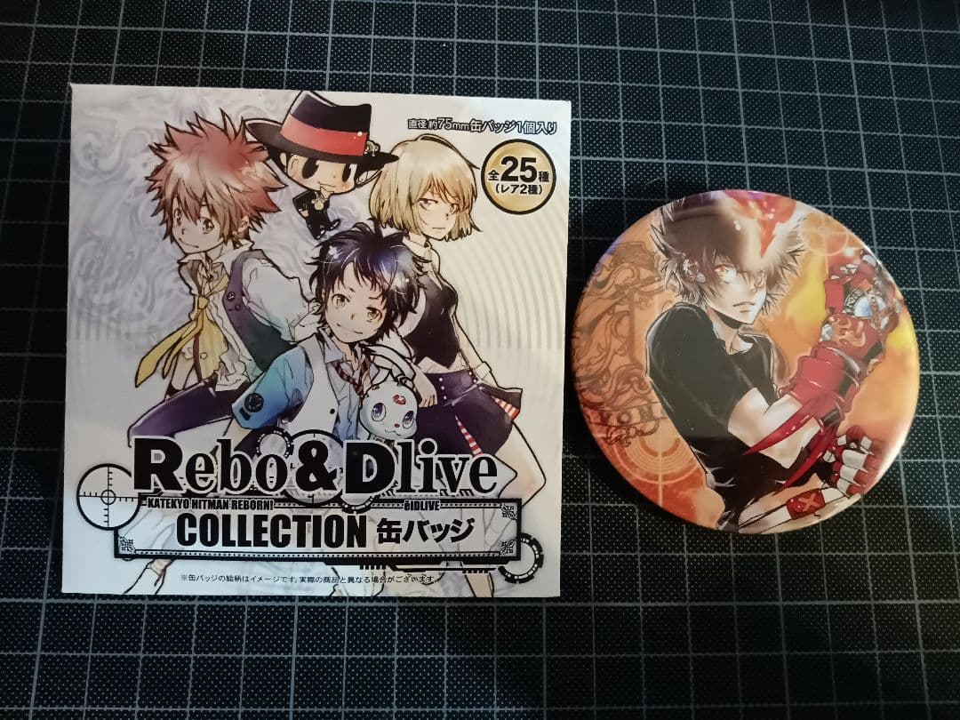 Rebo＆Dlive COLLECTION 缶バッジ　リボーン　沢田
