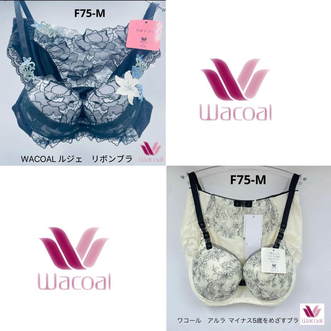 ワコール　アルラ BHD426 マイナス5歳をめざすブラ セットF75-M 2026年最新】ワコールマイナス5歳ブラの人気アイテム - メルカリ