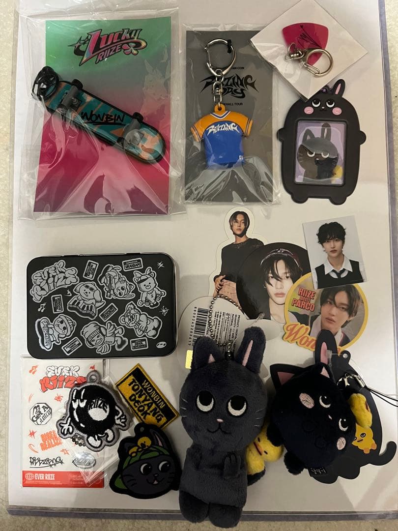 riize ウォンビン　まとめ売り