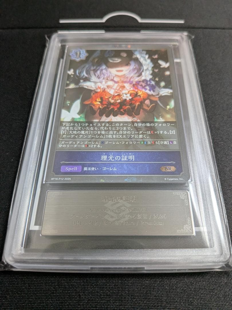 ARS10+ BR・プレミアム 理光の証明