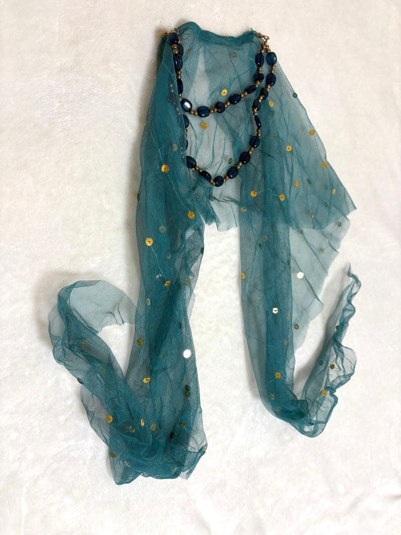 ディズニー ジャスミン コスチューム シークレットハニー シーハニ