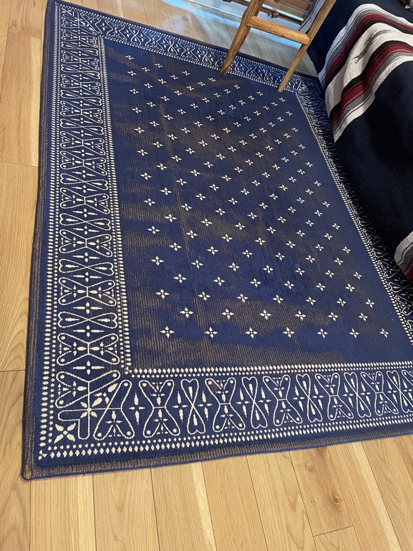 h*l様 ジャーナルファニチャー バンダナラグ 160×120