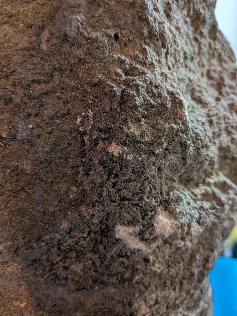 稀少レア江戸時代1707年宝永5年（317年前）徳川綱吉公治世