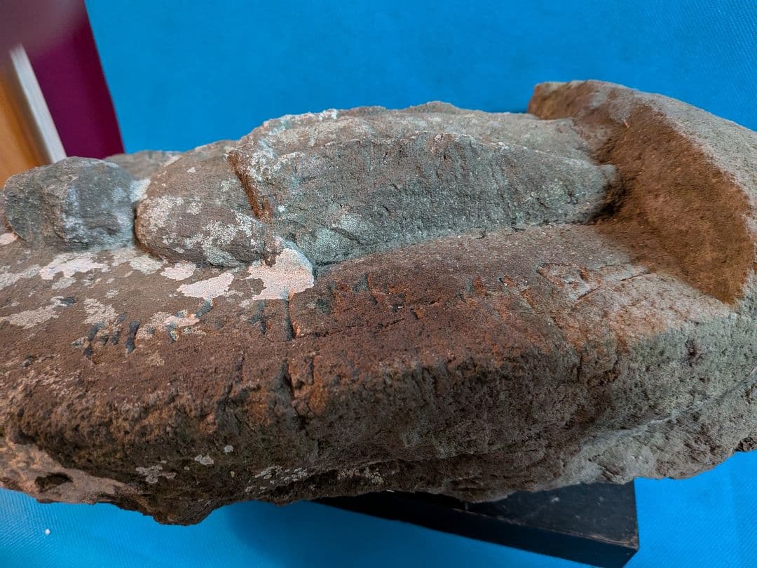 稀少レア江戸時代1707年宝永5年（317年前）徳川綱吉公治世