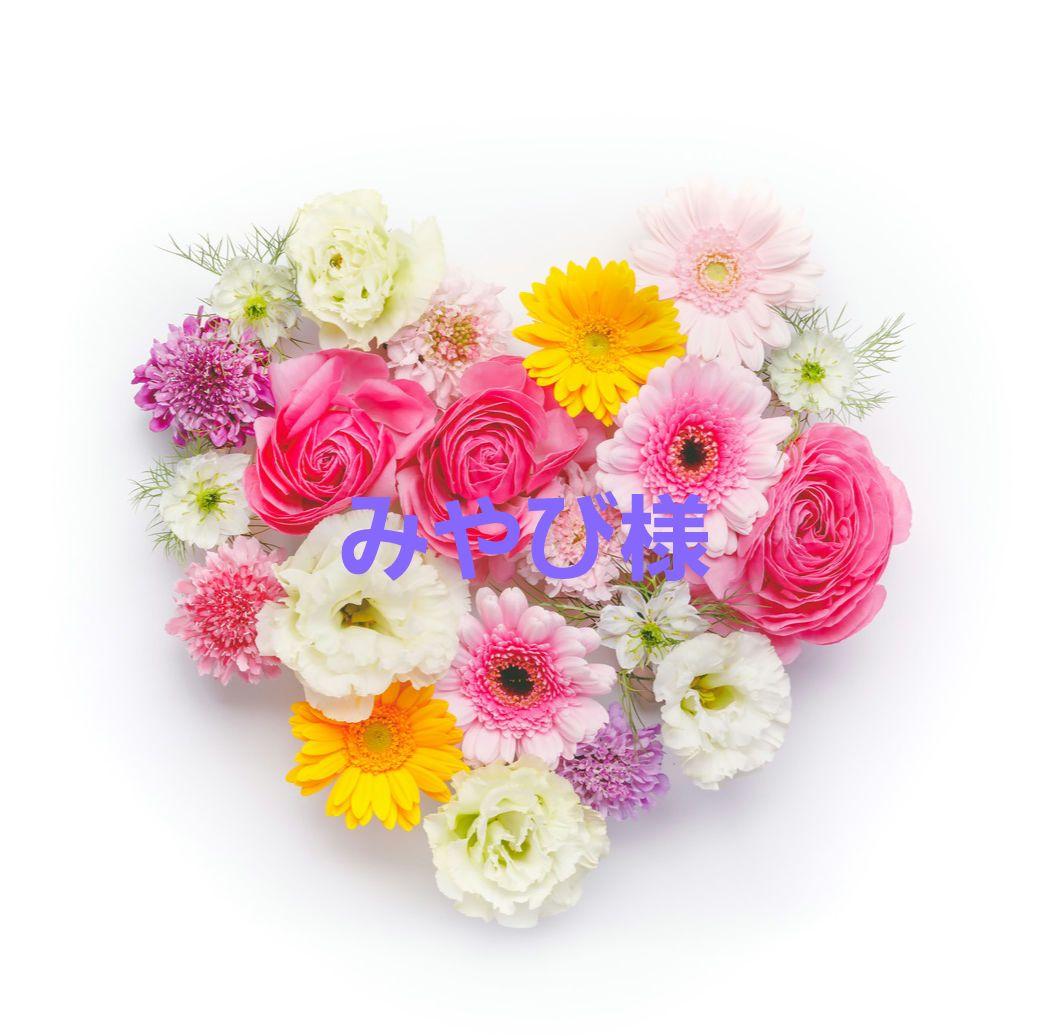 Wacoal　サルート　店舗限定　29G　キャミソール　ソング　RE　M サルート（SALUTE） salute 30 ワコール wacoal DTJ230 セットアップ