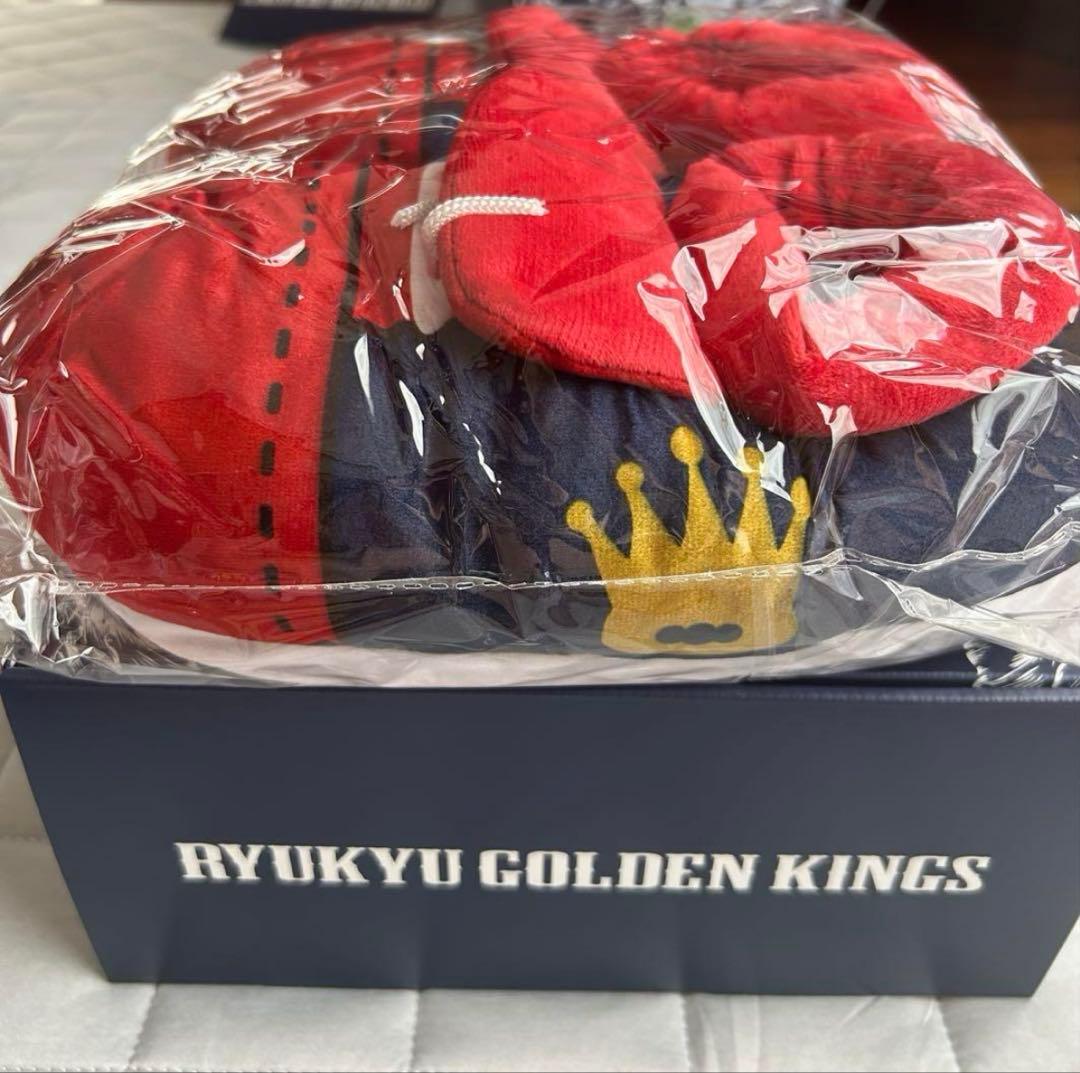琉球ゴールデンキングス ファンクラブ特典 ゴーディーの靴（室内履き