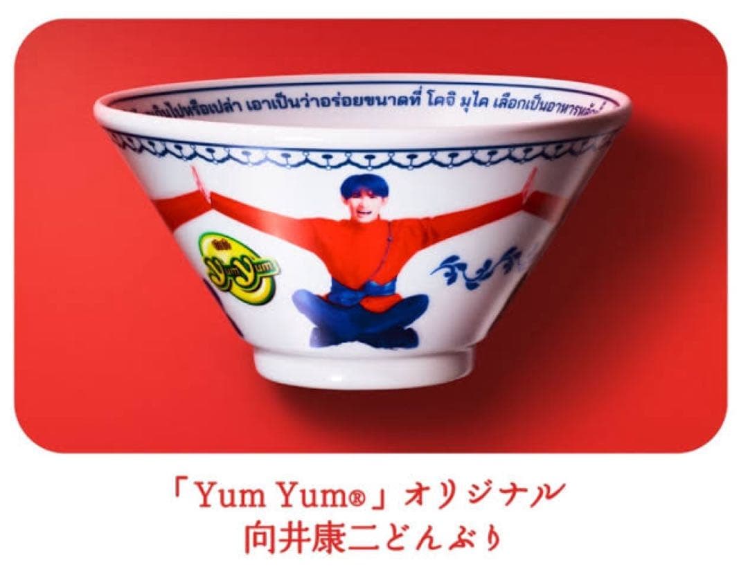 向井康二 グッズ