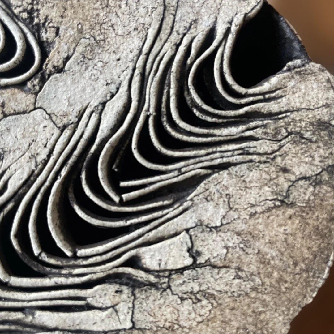 泉田之也 積層フタモノ 楕円 ギャラリーカード付き 茶器 茶盤 白