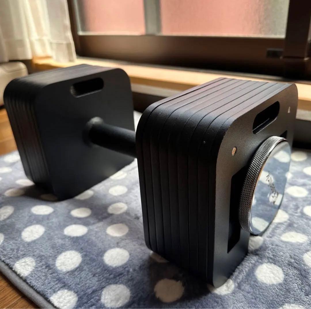Eisenlink 可変式ダンベル 36KG 四角形モデル 純鋼鋳造 家庭用 - メルカリ