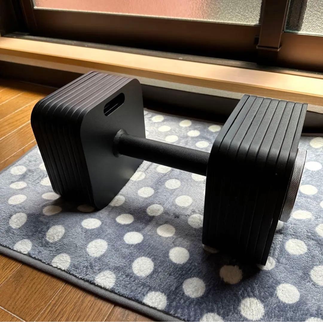 Eisenlink 可変式ダンベル 36KG 四角形モデル 純鋼鋳造 家庭用 - メルカリ