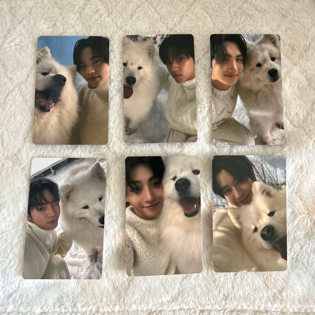 TWS Last Bell weverse ラキドロ サモエド トレカ コンプ - メルカリ