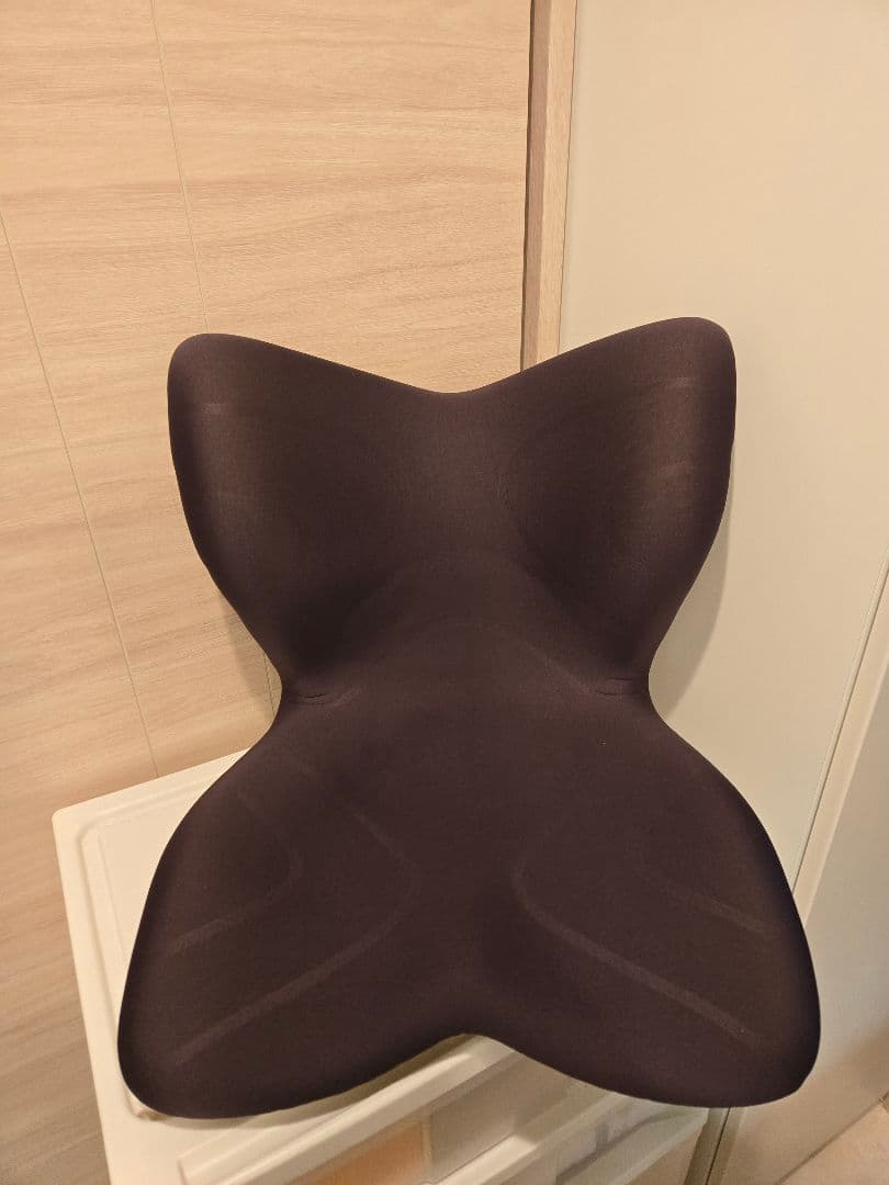 座椅子 MTG Style PREMIUM