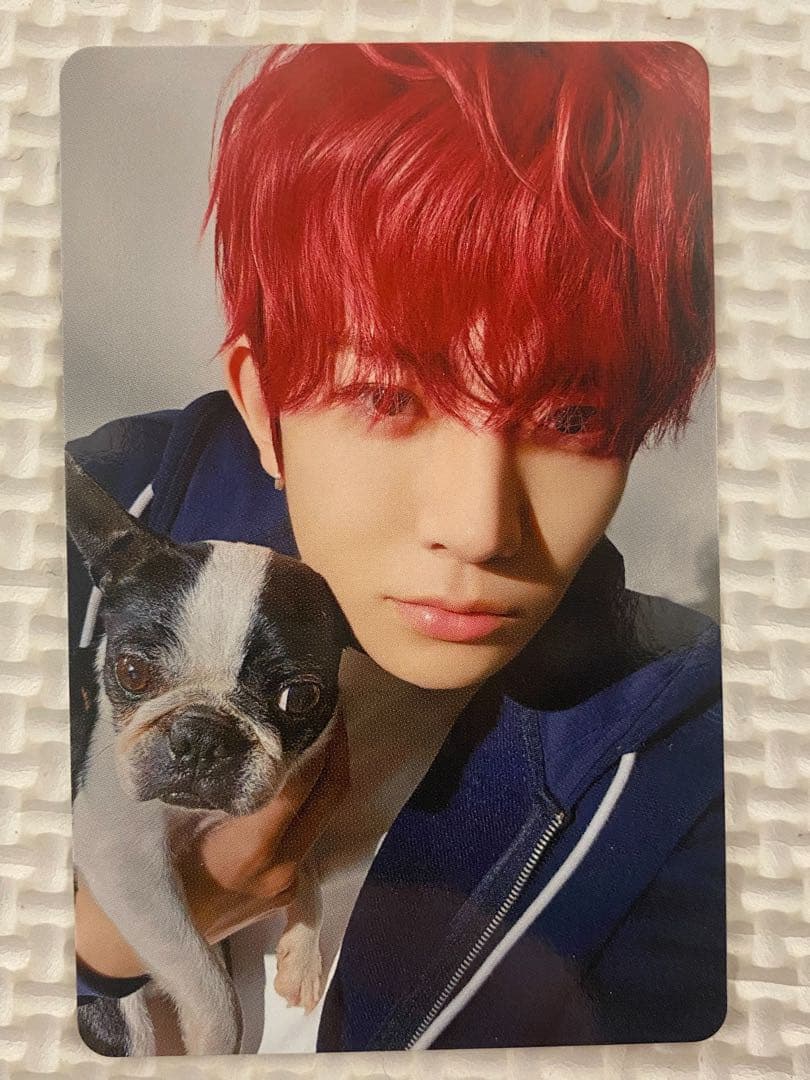 ヒスン ENHYPEN アンケートトレカ