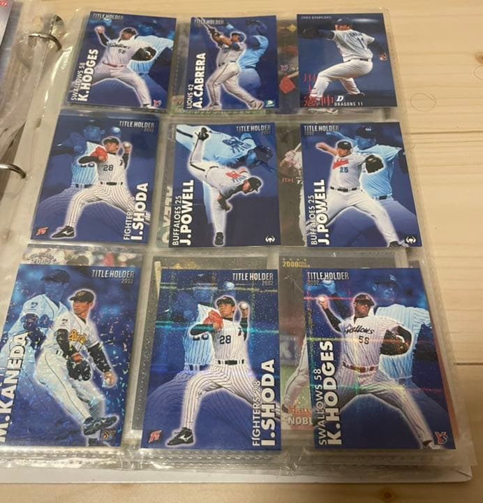 2002年プロ野球チップス オフィシャルカードバインダー レア51枚 普通