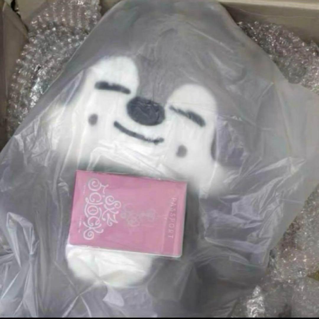 straykids スキズ テディベア SKZOO ウルフチャン　teddy StrayKids TOYWORLD 抱き ぬいぐるみ ウルフチャン SKZOO - メルカリ