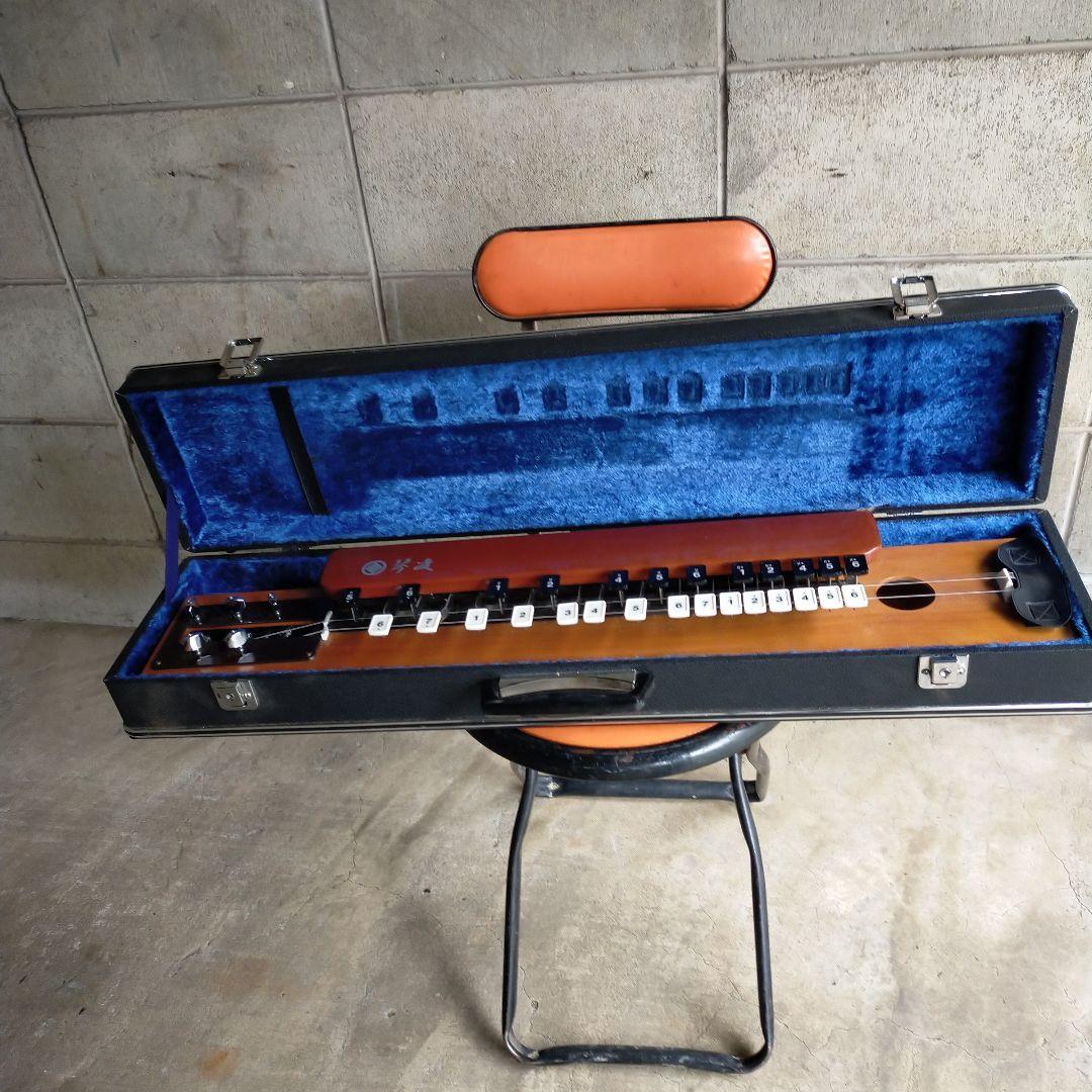 大正琴 10弦 ケース付き