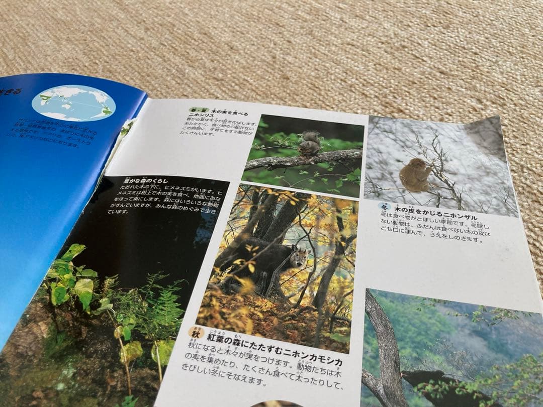 小学館の図鑑 NEO 8巻セット - メルカリ