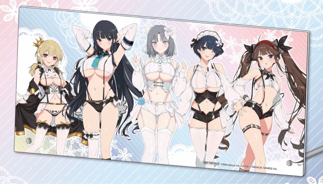 閃乱カグラ　アクリルパネル　モアチャン　当選品